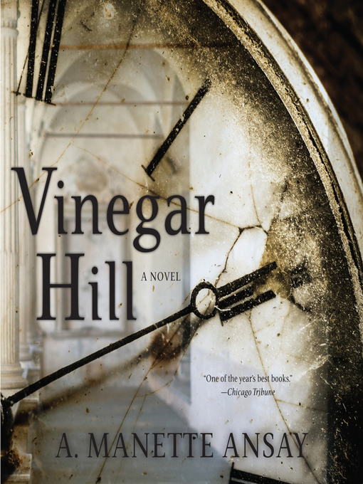 Title details for Vinegar Hill by A. Manette Ansay - Available